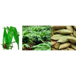 Wkład zapachowy  Goa BOIS D'EPICES (Drzewo Korzenne) 250 ml GOA - 2