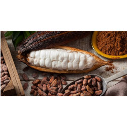 Pałeczki dyfuzor Millefiori Cocoa Blanc & Woods Białe Kakao 500ml Millefiori Milano - 2