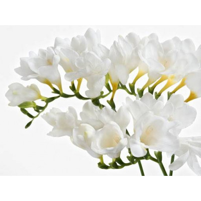Duża Świeca Zapachowa w Szkle z Wieczkiem White Flowers Białe Kwiaty  - 2