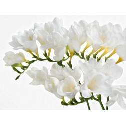 Duża Świeca Zapachowa w Szkle z Wieczkiem White Flowers Białe Kwiaty  - 2