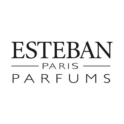 Uzupełniacz do Pałeczek Zapachowych Esteban Paris Ylang Ylang 250 ml ESTEBAN PARIS - 2