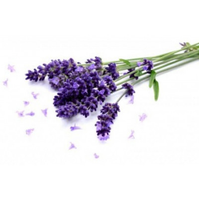 Pałeczki dyfuzor Millefiori Selected  Velvet Lavender Aksamitna Lawenda 100ml Millefiori Milano - 3