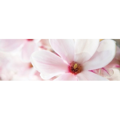 Pałeczki dyfuzor Millefiori Magnolia Blossom & Wood 500ml! Millefiori Milano - 3