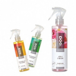 Spray do pomieszczeń Clem Goa Esprit Poudre de Soie (Jedwabny Puder) 250 ml GOA - 2