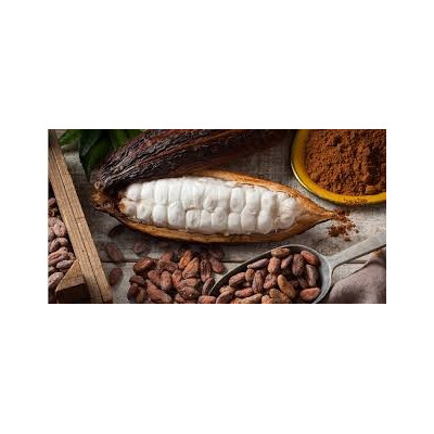 Pałeczki dyfuzor Millefiori Cocoa Blanc & Woods 250ml Białe Kakao Millefiori Milano - 4