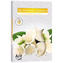 Podgrzewacze zapachowe Bispol Blooming Jasmine Kwitnący Jaśmin 6 sztuk P15-169 Bispol - 1