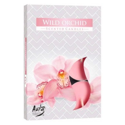 Podgrzewacze zapachowe Bispol Wild Orchid (Dzika Orchidea) 6 sztuk P15-170 Bispol - 1