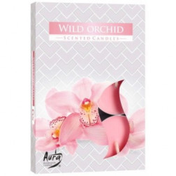 Podgrzewacze zapachowe Bispol Wild Orchid (Dzika Orchidea) 6 sztuk P15-170 Bispol - 1