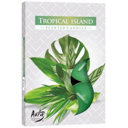 Podgrzewacze zapachowe Tropisal Island (Tropikalna Wyspa) 6 sztuk P15-274 Bispol - 1