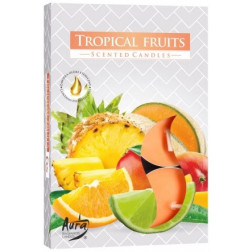Podgrzewacze zapachowe Tropical Fruits (Owoce Tropikalne) 6 sztuk P15-71 Bispol - 1