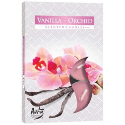 Podgrzewacze zapachowe Bispol Vanilla Orchid (Wanilia Orchidea) 6 sztuk P15-184 Bispol - 1