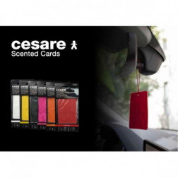 Mr & Mrs Fragrance Zawieszka Samochodowa Cesare Card Energy