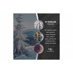 Świeca Zapachowa WW WoodWick Trilogy Icy Woodland Duża 609,5g