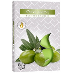 Podgrzewacze zapachowe Olive Grove (Gaj Oliwny) 6 sztuk P15-315 Bispol - 1