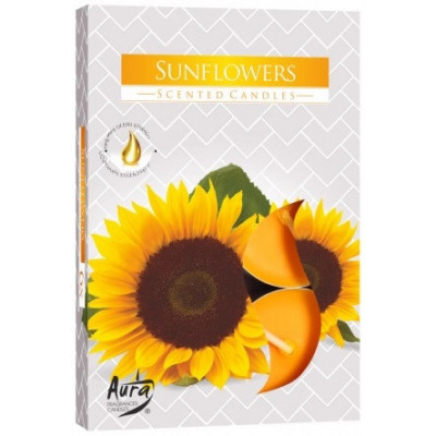 Podgrzewacze zapachowe Sunflowers (Słoneczniki) 6 sztuk P15-330 Bispol - 1