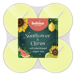 Maxi Light Bolsius Sunflower & Citrus Duftkerzen 8 Stunden 8 Stück