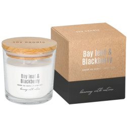 BISPOL soy scented candle sn173-325 (Bay leaf & Blackberry) ~40h