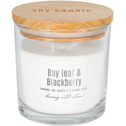 BISPOL soy scented candle sn173-325 (Bay leaf & Blackberry) ~40h