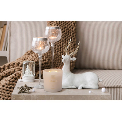 BISPOL Valpe scented candle sn100m-080-388 (Balance) ~40h