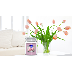 BISPOL Aura scented candle snd99-105 (Love) ~100h