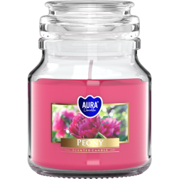 BISPOL Aura scented candle snd71-157 (Peony) ~28h