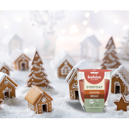 BOLSIUS Everyday Scented Candle (Gingerbread) ~21h