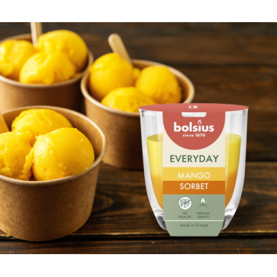 BOLSIUS Everyday Scented Candle (Mango & Sorbet) ~21h