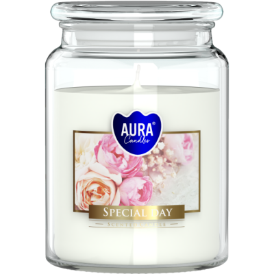 BISPOL Aura scented candle snd99-288 (A special day) ~100h