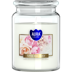 BISPOL Aura scented candle snd99-288 (A special day) ~100h