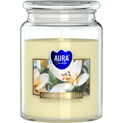 BISPOL Aura scented candle snd99-354 (Green leaves & Lily) ~100h