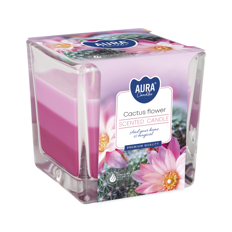 BISPOL Aura Duftkerze snk80-312 (Kaktusblüte) ~32h