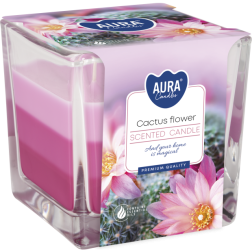 BISPOL Aura Duftkerze snk80-312 (Kaktusblüte) ~32h