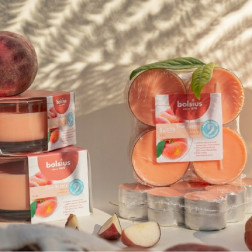 BOLSIUS vonné ohřívače 57mm (broskev) ~8h 8ks.