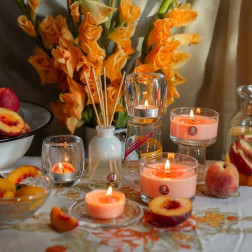 BOLSIUS scented heaters 57mm (Mango) ~8h 8pcs.