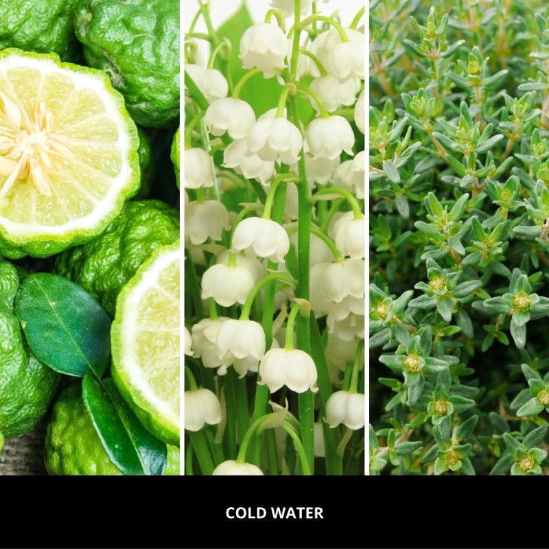 Náplň do katalytickej lampy MILLEFIORI COLD WATER 500ml