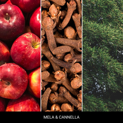 Uzupełniacz do lampy katalitycznej MILLEFIORI MELA & CANNELLA 500ml 2