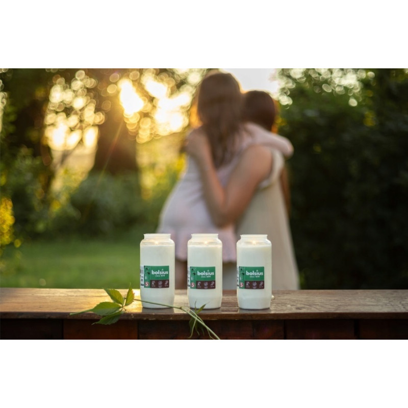 Bolsius RP15 paraffin candle insert ~34h 1 piece