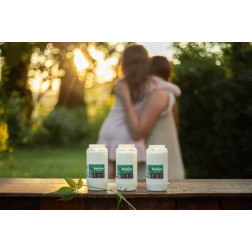 Wkład do zniczy parafinowy Bolsius RP15 ~34h 1 sztuka