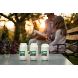 Bolsius RP15 Paraffin-Kerzeneinsatz ~34h 1 Stück