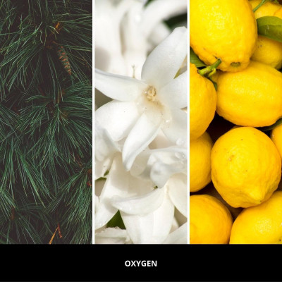 Osviežovač vzduchu do auta na mriežku MILLEFIORI Milano ICON OXYGEN 2