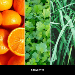 Osvěžovač vzduchu do auta na mřížku MILLEFIORI Milano ICON ORANGE TEA