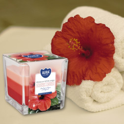 BISPOL Aura scented candle snk80-356 (Hibiscus & White sage) ~32h