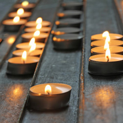 BOLSIUS scented tealights 38mm (Apple & Cinnamon) ~4h 18 pcs.