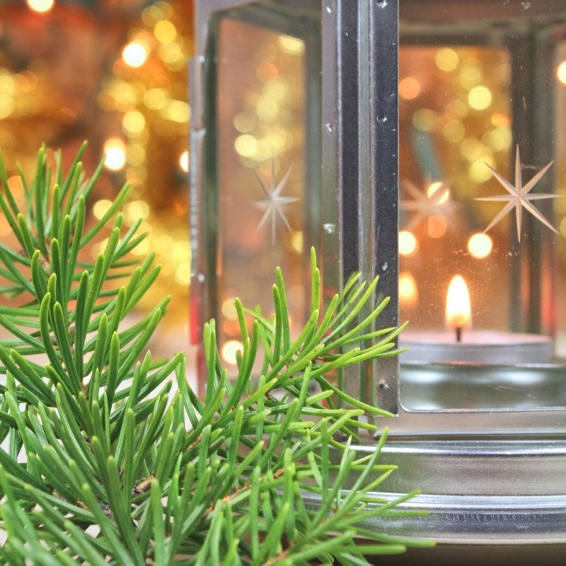 BOLSIUS Duftteelichter 38mm (Haselnuss & Vanille) ~4h 18Stk.