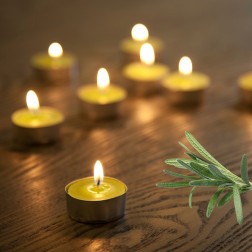 BOLSIUS scented tealights 38mm (Fresh Rosemary) ~4h 18pcs.