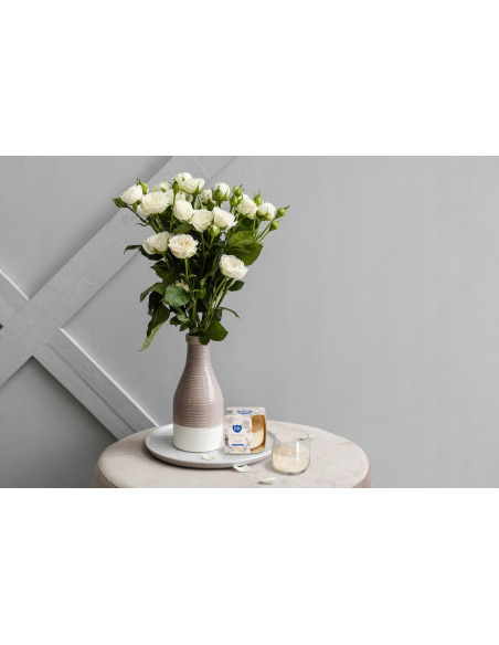 BISPOL Aura scented candle sn71-67 (Vanilla) ~24h