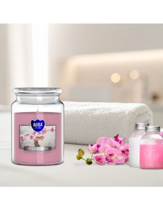 BISPOL Aura scented candle snd99-254 (SPA Garden) ~100h 2