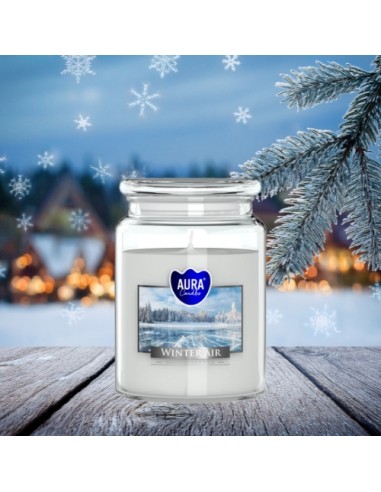 BISPOL Aura scented candle snd99-375 (Winter air) ~100h