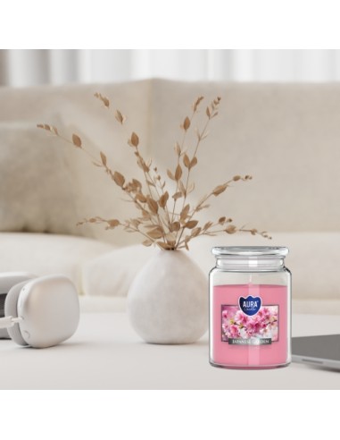 BISPOL Aura scented candle snd99-476 (Japanese garden) ~100h