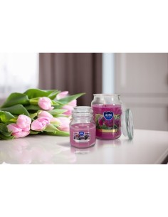 BISPOL Aura scented candle snd71-254 (SPA Garden) ~28h 2